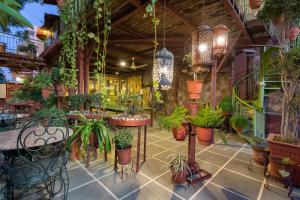Zahrada ubytování Jaipur Inn