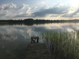 a bench sitting on a dock in the middle of a lake at Agroturystyka Niezapominajka in Kosewo