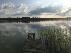 Przyroda w pobliżu tego gospodarstwa agroturystycznego