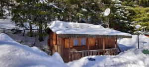 Cabaña de madera pequeña con nieve en el techo en EUROPING VILLAGE MARSIA Abruzzo, en Marsia