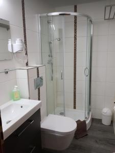 La salle de bains est pourvue d'une douche, de toilettes et d'un lavabo. dans l'établissement Landhotel Edelhof, à Uhlstädt