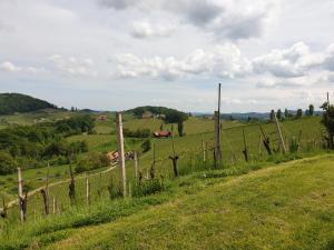 Ein Zaun mitten auf einem grünen Feld in der Unterkunft Ferienwohnungen Kres in Gamlitz