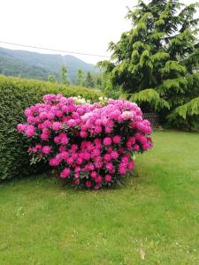 Gallery image of Boutique Hotel Pohorje in Maribor