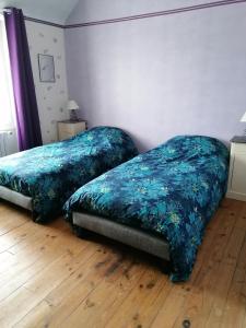 1 Schlafzimmer mit 2 Betten mit blauen Bettdecken und Holzboden in der Unterkunft Cocottes & Colibri in Châtellerault