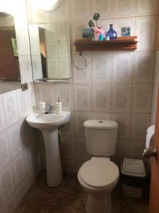 y baño con aseo, lavabo y espejo. en Cabañas Huelemu Pucón, en Pucón