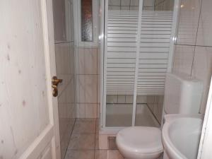 a bathroom with a shower with a toilet and a sink at Guest House Tiho in Silba