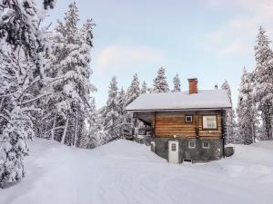 una cabaña de madera en el bosque en la nieve en Holiday Home Ylikyrön mökki by Interhome, en Kyrö