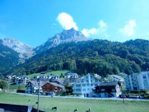 una montaña en la distancia con una ciudad y casas en Apartment Casa Mira by Interhome, en Engelberg