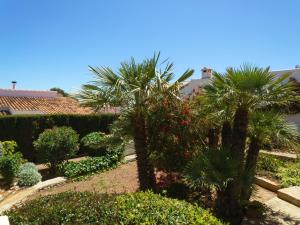 A garden outside Holiday Home Pedro by Interhome