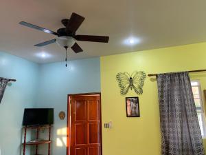 a room with a ceiling fan and a butterfly on the wall at Lily Pad II in Caye Caulker