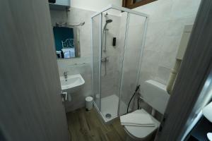 a bathroom with a shower and a toilet and a sink at La nuova Coccinella in Bra