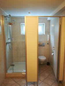 a bathroom with a shower and a toilet at Apartment Froschkönig in Gladenbach +14 photos