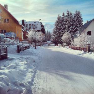 a street covered in snow with houses and trees at Apartments Sara in Žabljak