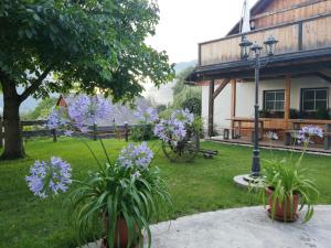 a garden with purple flowers and a house at Ortnerhof Ennstal in Aigen im Ennstal