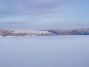 a view of a lake with trees in the background at Holiday Home Kesäranta by Interhome in Simanala