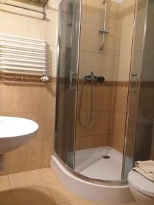 a bathroom with a shower with a sink and a toilet at Zielony Dworek in Częstochowa