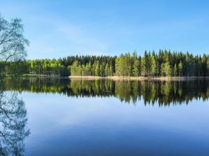un grand lac avec des arbres en arrière-plan dans l'établissement Holiday Home Väinämöinen by Interhome, à Tohmajärvi