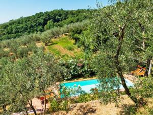 Bazén v ubytovaní Holiday Home Iacopo by Interhome alebo v jeho blízkosti
