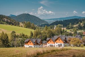 eine Gruppe von Häusern auf einem Hügel auf einem Feld in der Unterkunft Ostoja Zaskalskie Apartament Szafir 74 metry in Jaworki