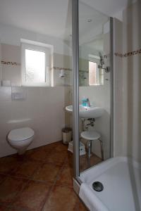 a bathroom with a toilet and a sink and a shower at Hellinghaus FeWo 2 Klippenfänger in Wyk auf Föhr