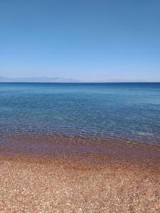 Fotografie z fotogalerie ubytování Lina's house v destinaci Koroni