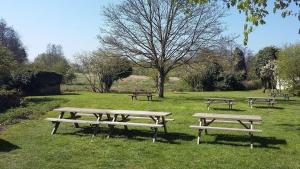 a group of picnic tables in a field at The Ram Inn in Brandon