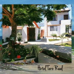 a house with a tree in front of it at HOSTAL TERO REAL in Puerto Villamil