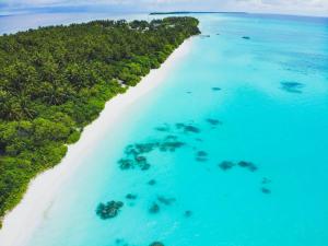 una vista aérea de una playa en el océano en Palms Retreat, en Isla Fulhadhoo