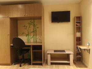 TV a/nebo společenská místnost v ubytování Apartman VILLA Cacak