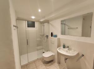 a bathroom with a shower and a toilet and a sink at Casa Blouberg in Gordevio