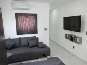 TV a/nebo společenská místnost v ubytování Venecia 262