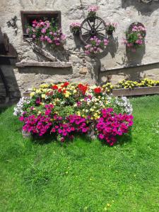 A garden outside Pension Bauernhof Baumgartner Stanahof