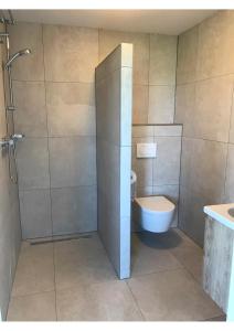 een badkamer met een douche, een toilet en een wastafel bij B&B De Spiegel - Genieten van rust en ruimte in Cothen