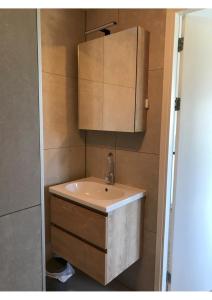 a bathroom with a sink and a cabinet at B&B De Spiegel - Genieten van rust en ruimte in Cothen +13 photos