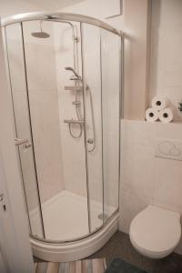 a shower stall in a bathroom with a toilet at Casa Allegria - Zuiderbosch in Bergen +23 photos