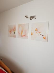 Apartment in Balatonakali 36227 في بالاتوناكالي: أربعة صور ورد معلقة على جدار أبيض