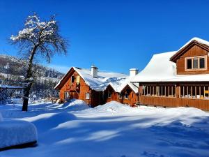 ein schneebedecktes Holzhaus mit einem Baum in der Unterkunft Raj Helmuta in Rabe