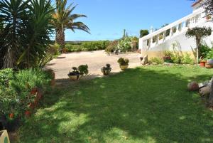 a yard with potted plants on the side of a house at Vivenda Familia Pedro in Vila do Bispo