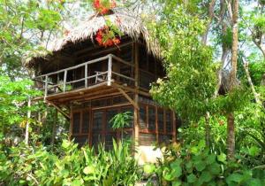 Сад в Hotel Playa Scondida Barú