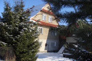 dom z choinką w śniegu w obiekcie Apartament na Sportowej w mieście Tylicz