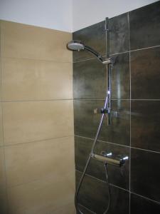 a shower with a shower head in a bathroom at Les Romarins in Aigne