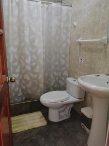 y baño con aseo y lavamanos. en Illariy Tampu Ecoalbergue Oxapampa, en Oxapampa
