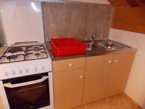 Kuchyň nebo kuchyňský kout v ubytování Apartments Smirnov