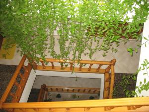 Ogród w obiekcie Hotel A Veiga