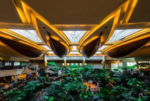 un gran vestíbulo con plantas y tablas de surf colgando del techo en Grand Hyatt Dubai en Dubái