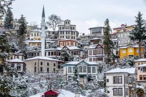 a city covered in snow with houses and a mosque at Kanoglu Konagi Butik Otel in Akcaabat