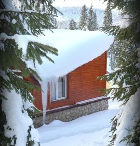 a log cabin with snow on the roof of it at Vila IZVORUL MINUNILOR in Stana de Vale
