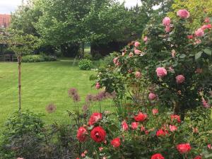 Um jardim no exterior de Herberts Stubn
