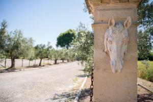 Fotografie z fotogalerie ubytování Le Mas du Cheval v destinaci Lattes