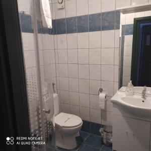 La salle de bains est pourvue de toilettes et d'un lavabo. dans l'établissement Bacchus Panzió, à Eger